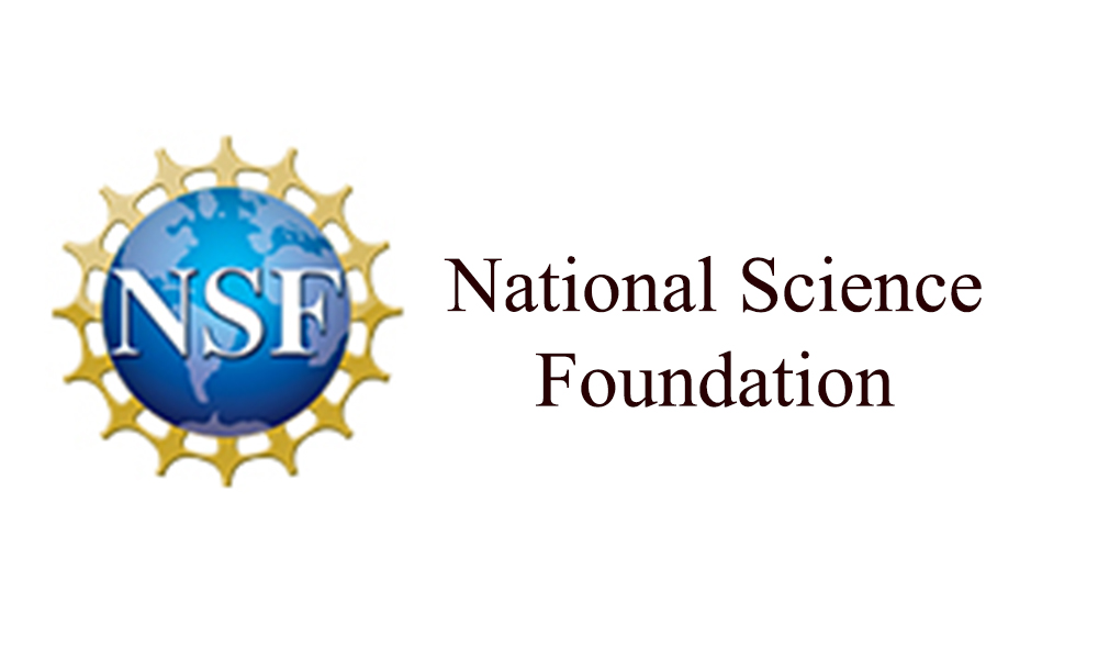 NellOne Awarded Competitive Grant from the National Science Foundation